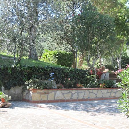 Valle Degli Ulivi Appartamento Terni Bagian luar foto
