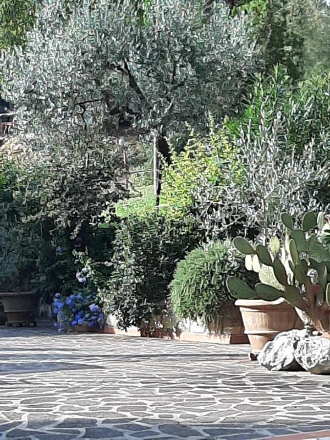Valle Degli Ulivi Appartamento Terni Bagian luar foto