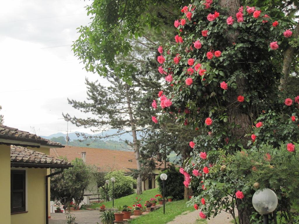 Valle Degli Ulivi Appartamento Terni Bagian luar foto