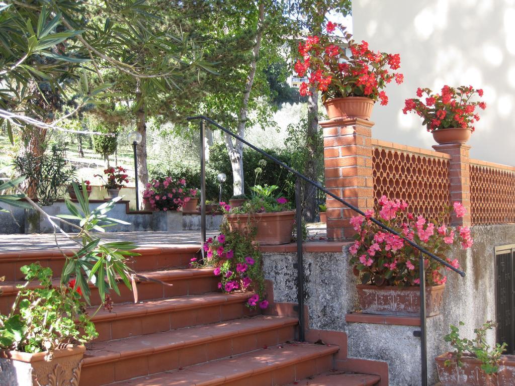 Valle Degli Ulivi Appartamento Terni Bagian luar foto