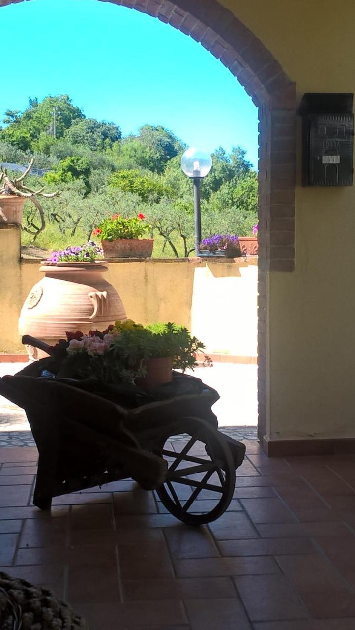 Valle Degli Ulivi Appartamento Terni Bagian luar foto